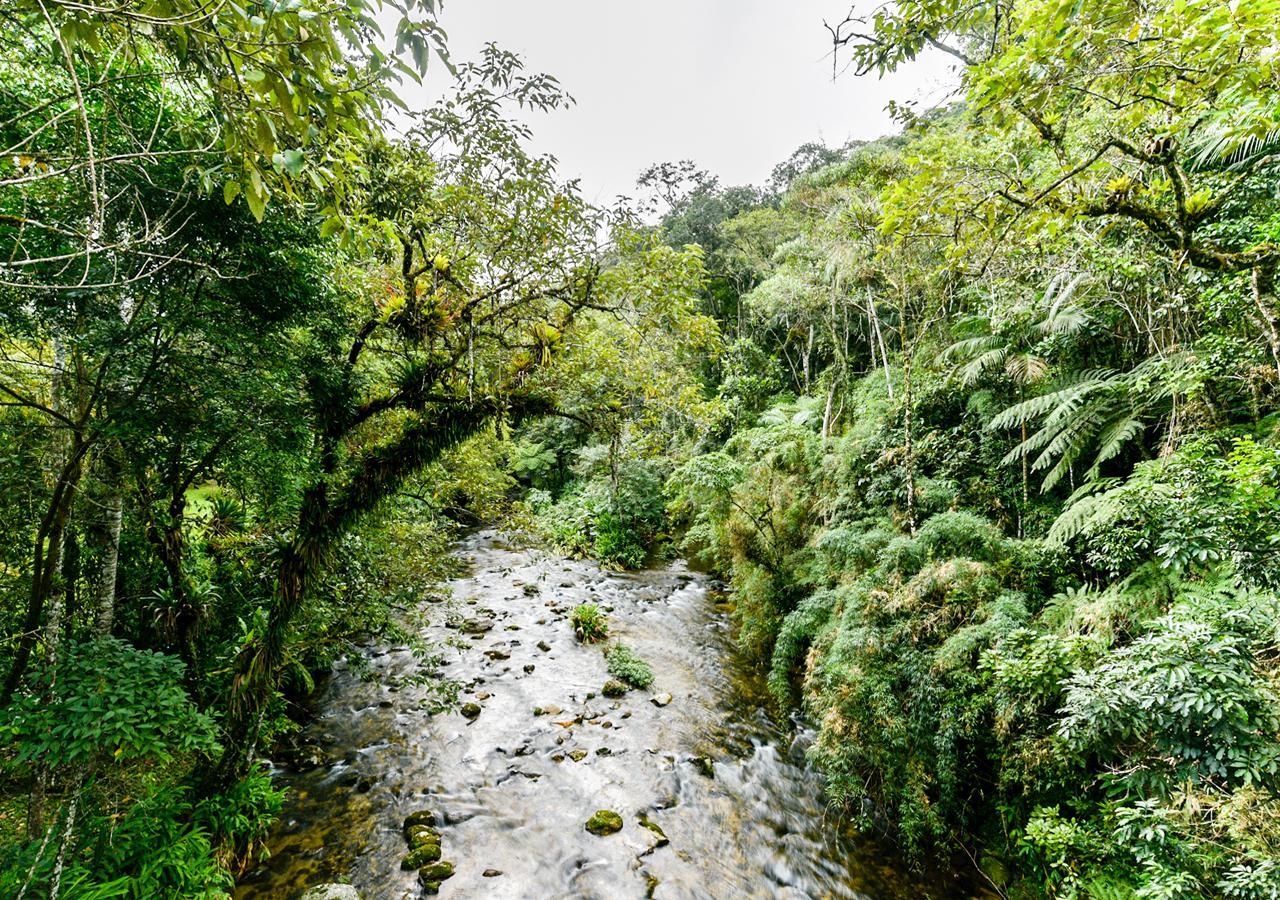 Refúgio Ecológico Amadamata Nova Friburgo Exterior foto
