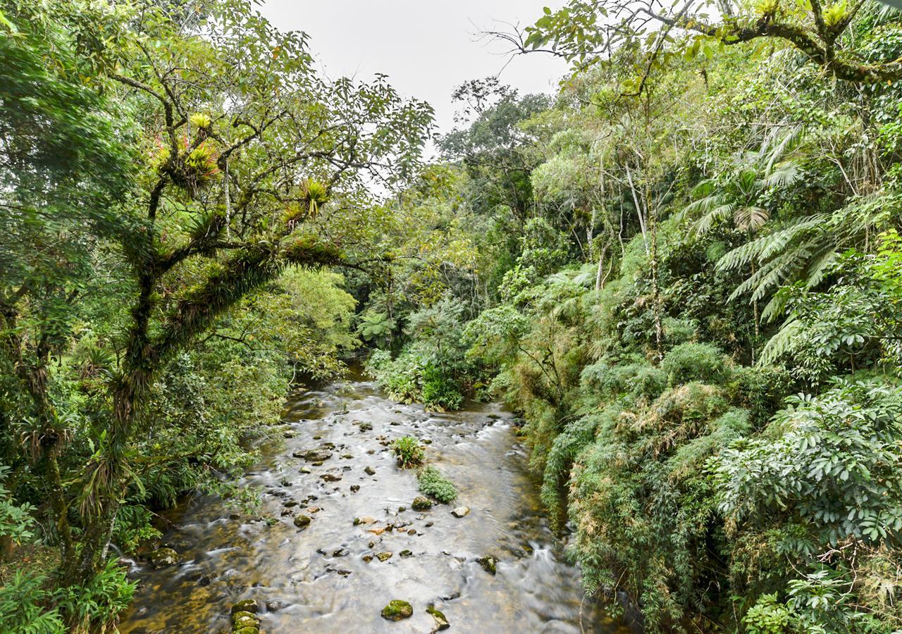 Refúgio Ecológico Amadamata Nova Friburgo Exterior foto